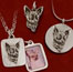 Chihuaha Collection