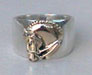 Dressage Horse Ring