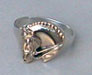Dressage Horse Ring