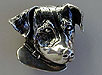 Jack Russell Buckle